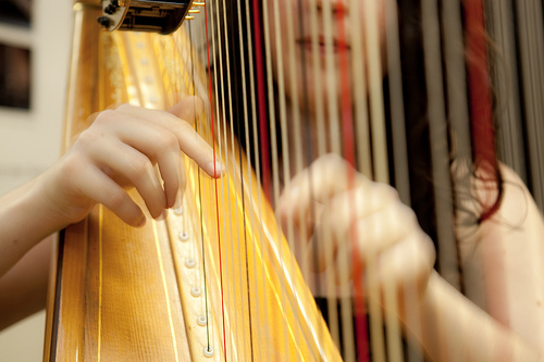 Los Angeles Harpist.