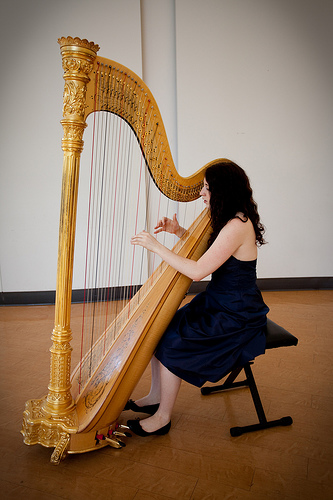 Los Angeles Harpist.